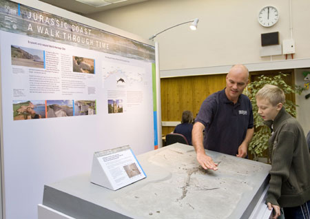 fossil display