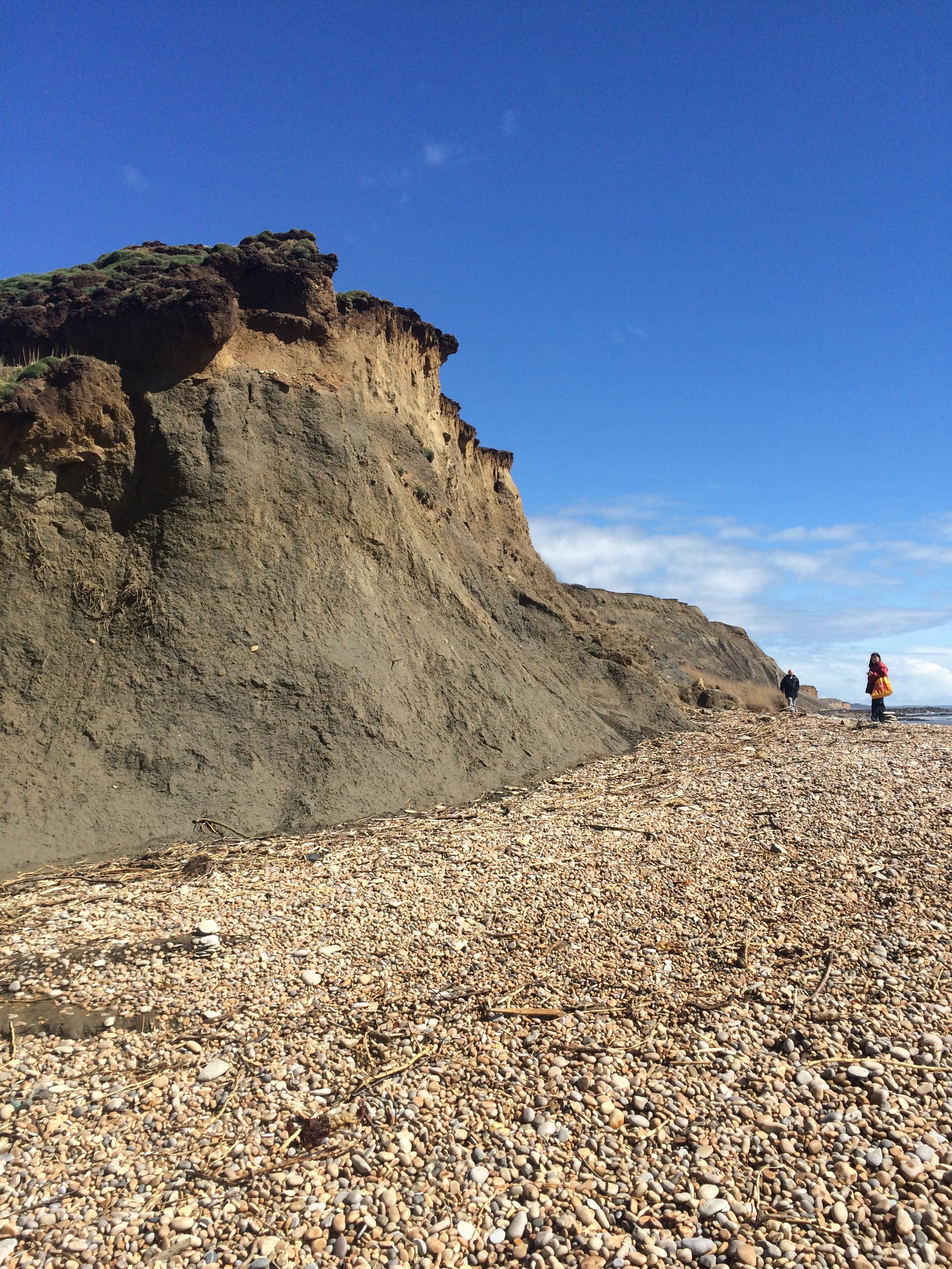 Brunch and Belemnites Walk