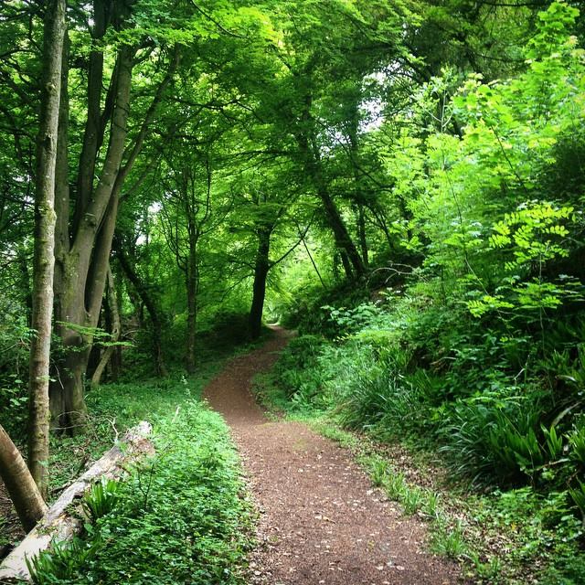 Undercliffs Reserve