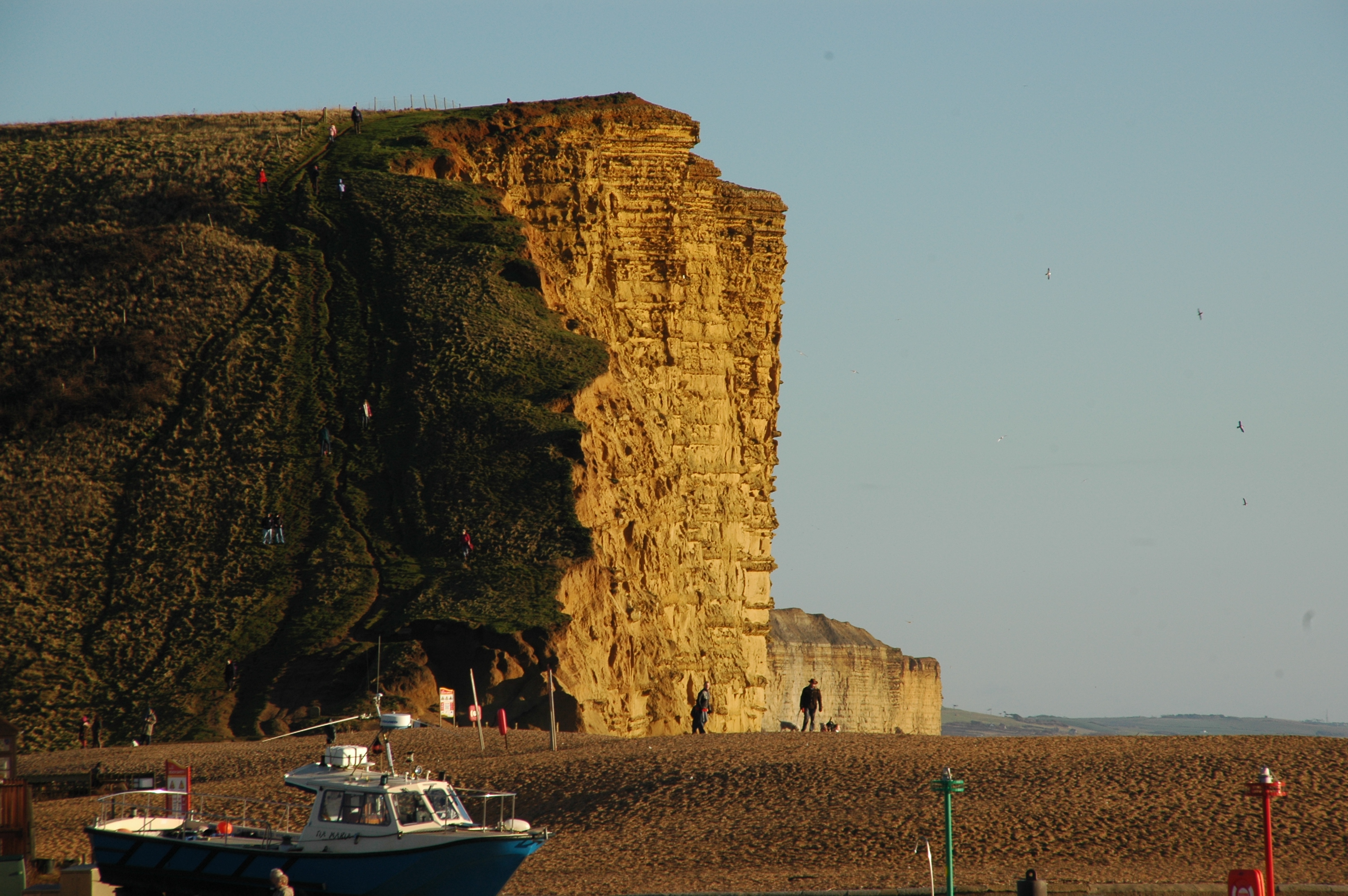 We are spoilt for choice living on the Jurassic Coast World Heritage Site, so we are sharing some of our favourite things to do in and around Bridport