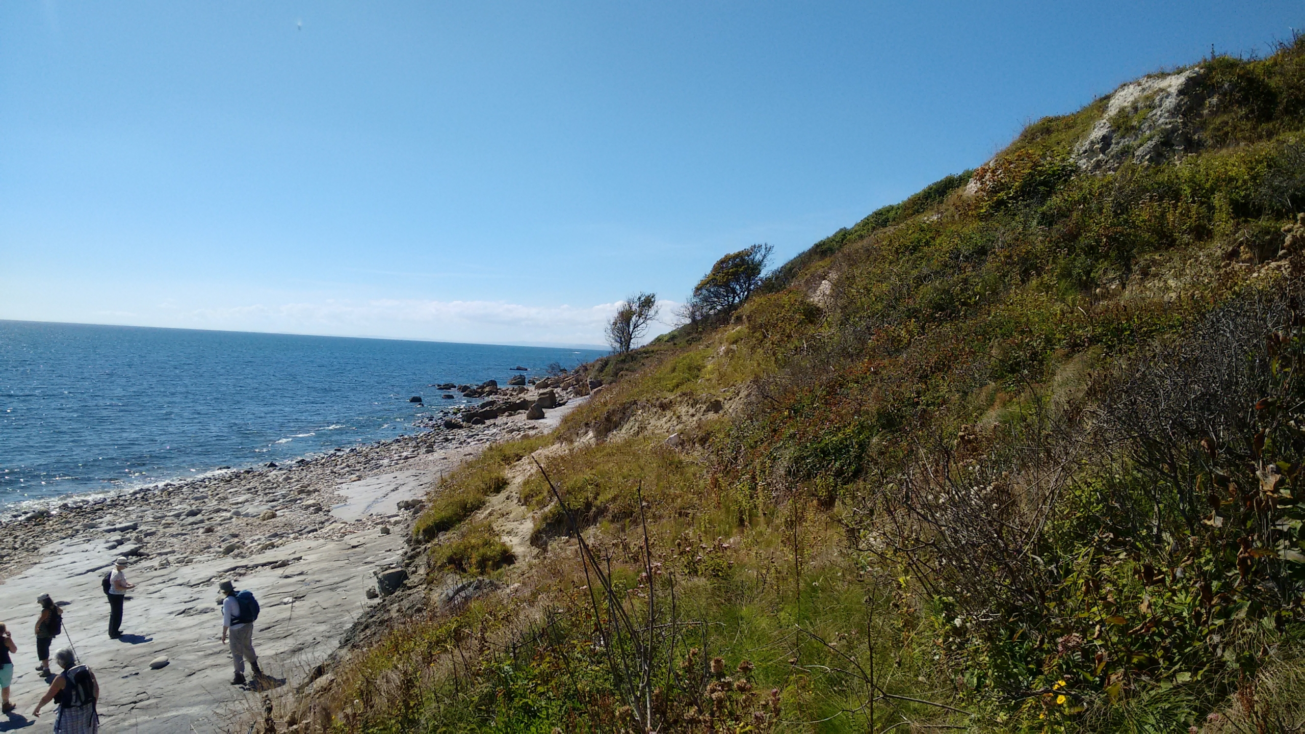 Undercliffs Beach