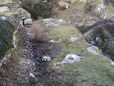 What is this mystery fossil on Portland? (Image courtesy of Dorset RIGS)